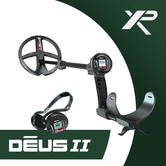 DEUS 2 XP Master WS6 ST - 22FMF